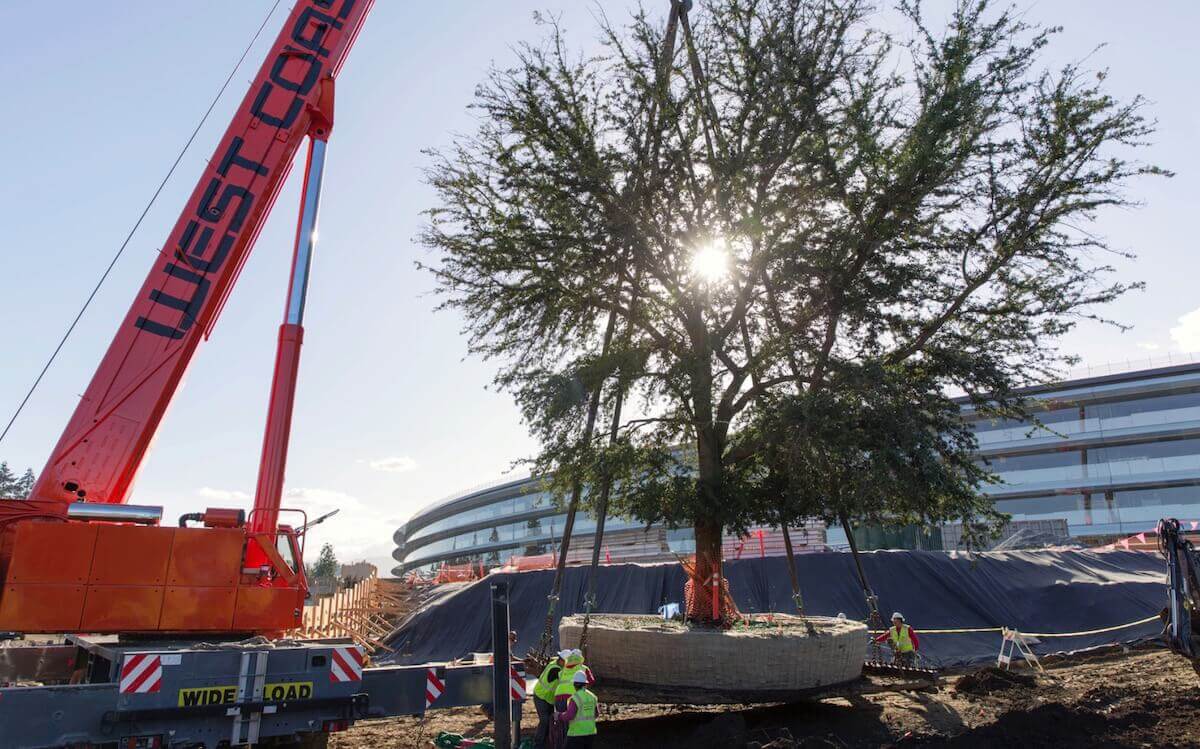 Как выглядит внутреннее убранство Apple Campus 2. Как выглядит внутреннее убранство Apple Campus 2. Фото.