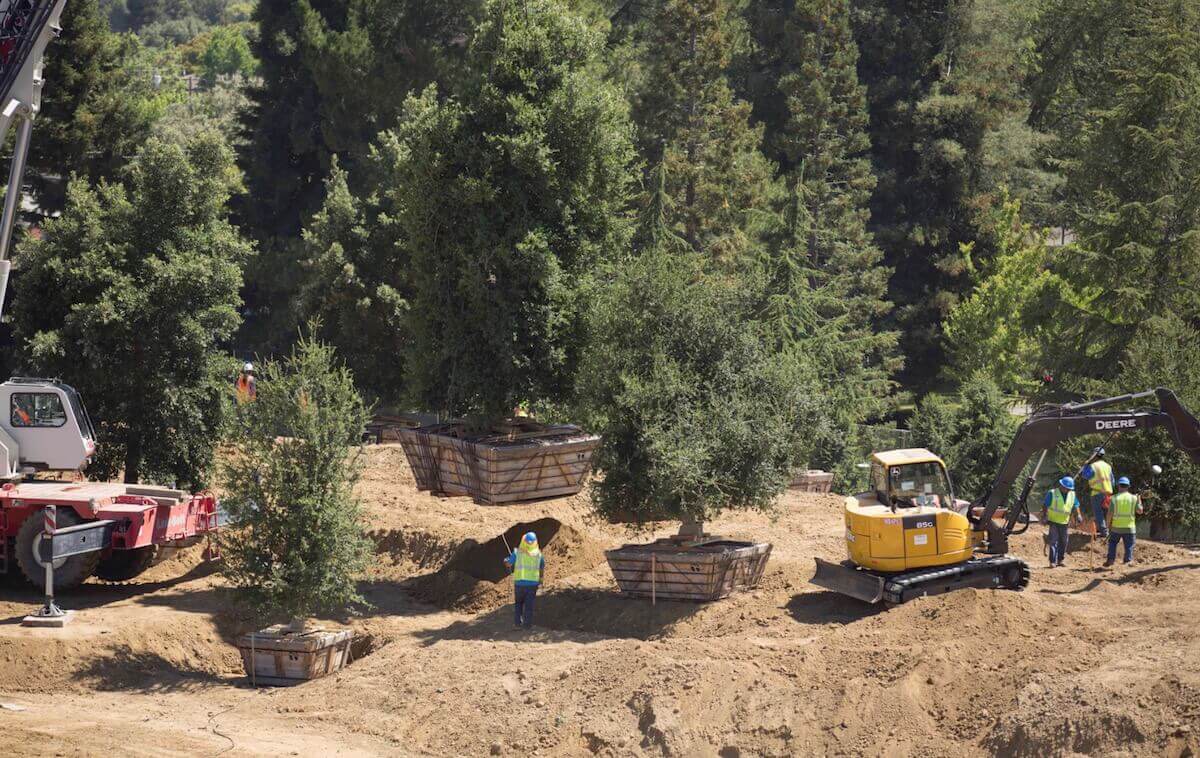 Как выглядит внутреннее убранство Apple Campus 2. Как выглядит внутреннее убранство Apple Campus 2. Фото.