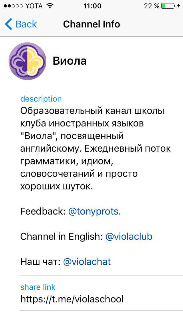 Что читать в Telegram: самые интересные каналы. @violaschool. Фото.
