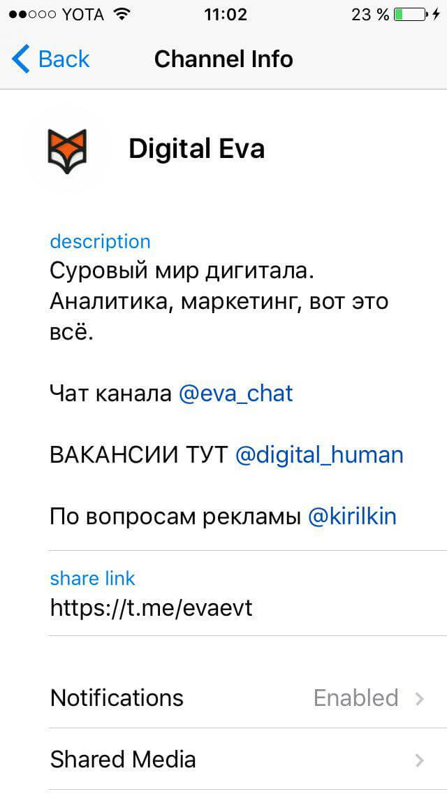 Что читать в Telegram: самые интересные каналы. @evaevt. Фото.