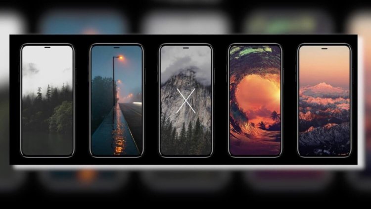 18:9 – новое соотношение сторон экрана будущего iPhone. Зачем? Фото.