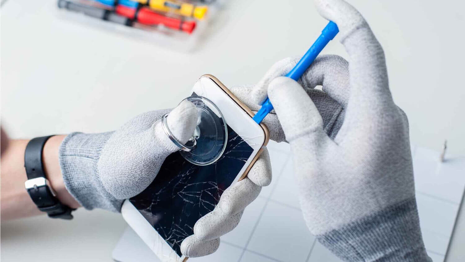 Школьники прилично зарабатывают на ремонте iPhone в летние каникулы. Школьники прилично зарабатывают на ремонте iPhone в летние каникулы. Фото.