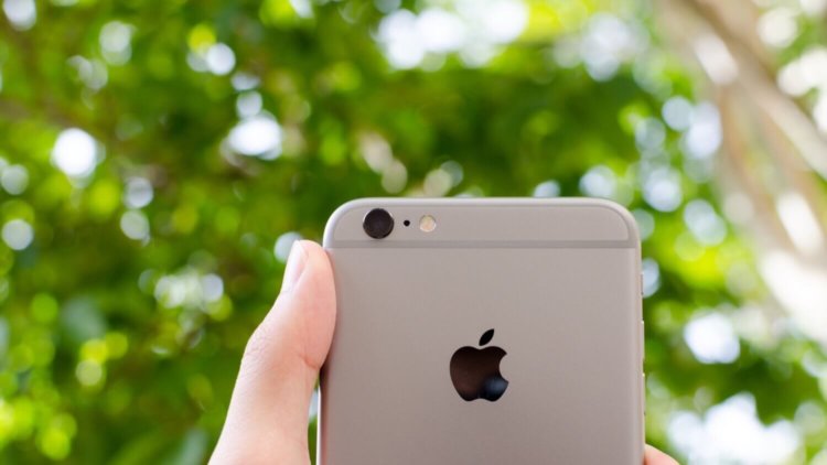 Этот владелец iPhone 6s нашел действительно удачное применение камере смартфона. Фото.