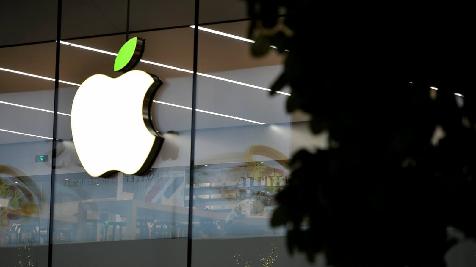 Apple вырастит упаковку для своих продуктов. Apple вырастит упаковку для своих продуктов. Фото.