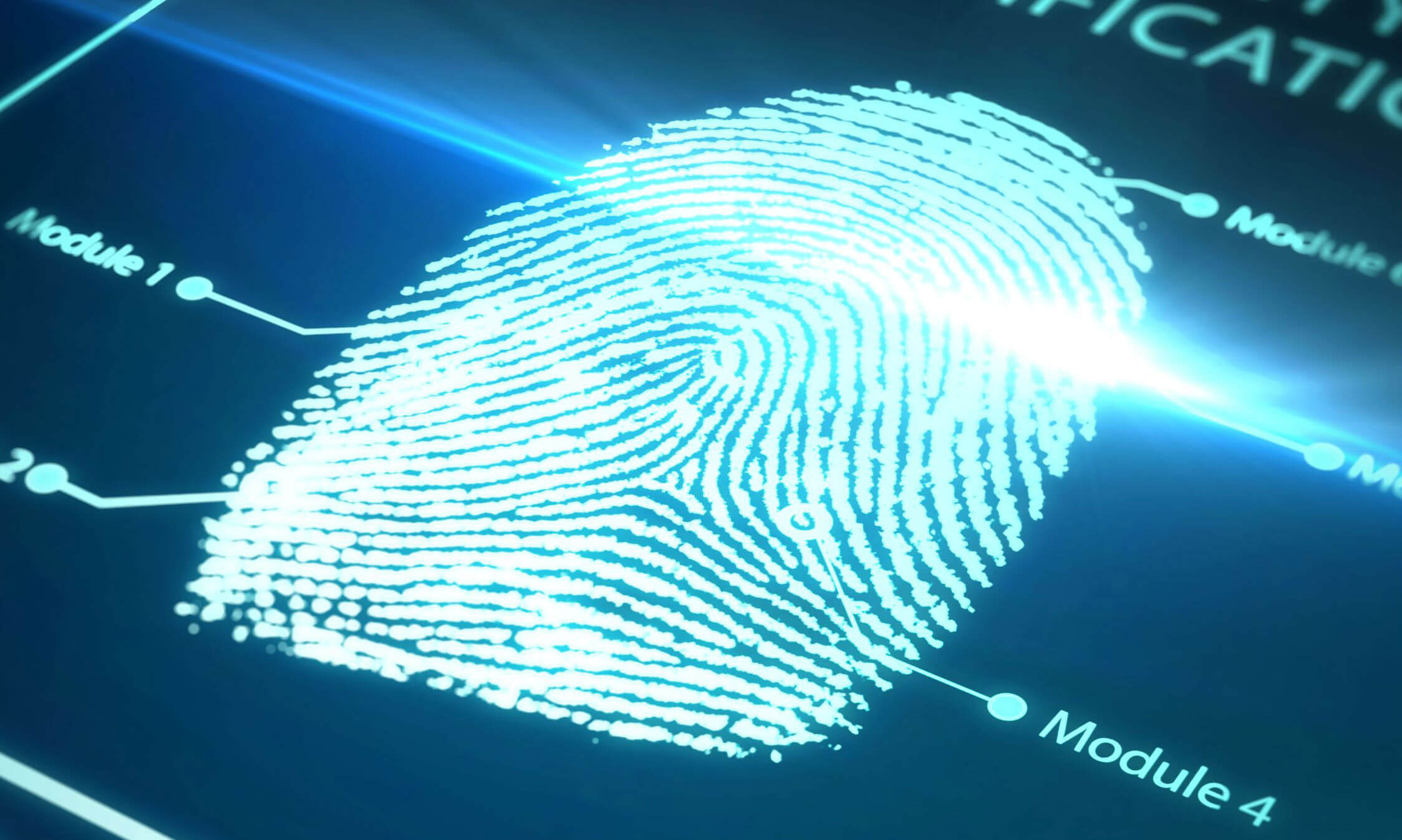 Apple все еще заинтересована в дальнейшем развитии Touch ID. Apple все еще заинтересована в дальнейшем развитии Touch ID. Фото.