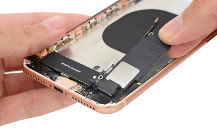 Что внутри iPhone 8 и iPhone 8 Plus? Фото.