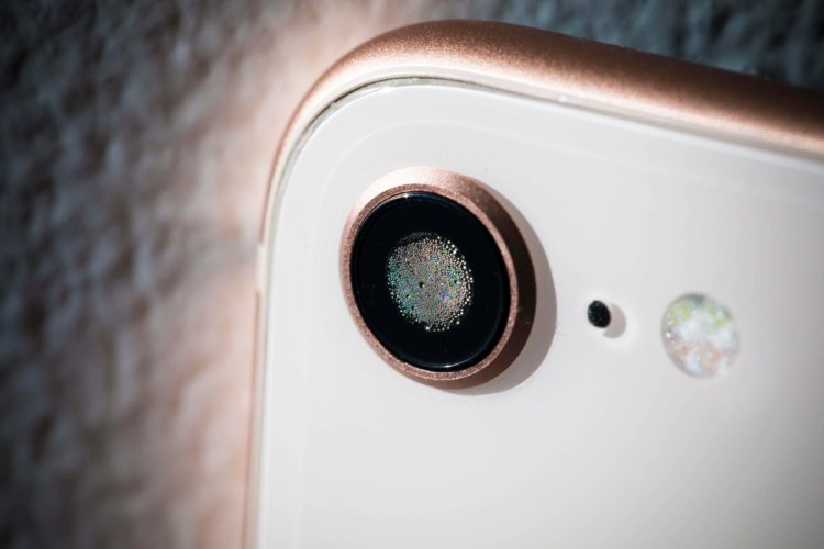 Какая камера стала самой популярной у фотографов. Фото.