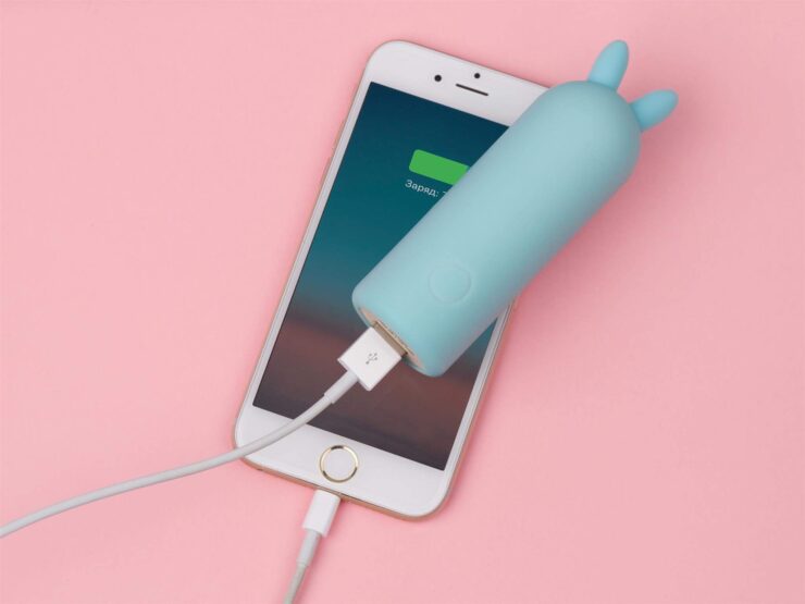 И приз за самый симпатичный пауэрбанк достается….. Фото.