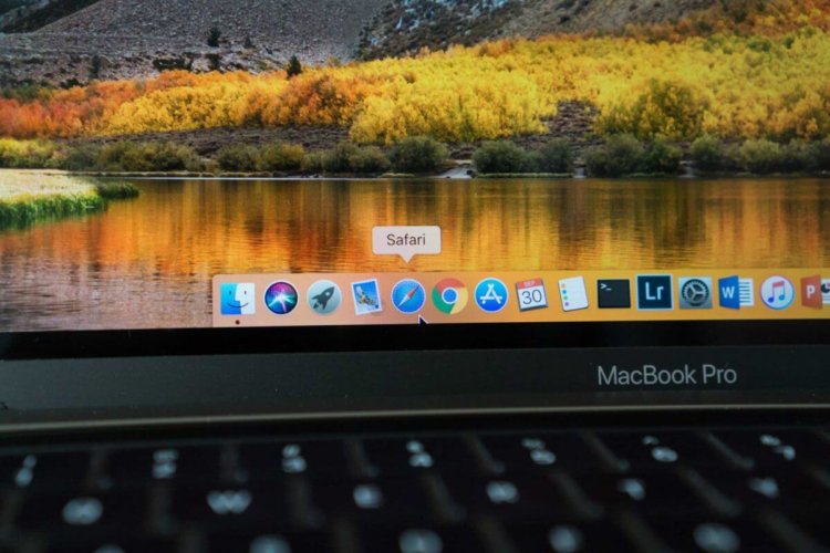 Как быстро выключить все расширения в Safari для Mac? Фото.