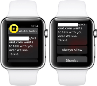 Как работает загадочная функция Walkie-Talkie на Apple Watch. Как работает загадочная функция Walkie-Talkie на Apple Watch. Фото.