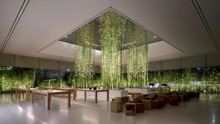 #Фото: новый магазин Apple с бамбуковым «лесом». Фото.