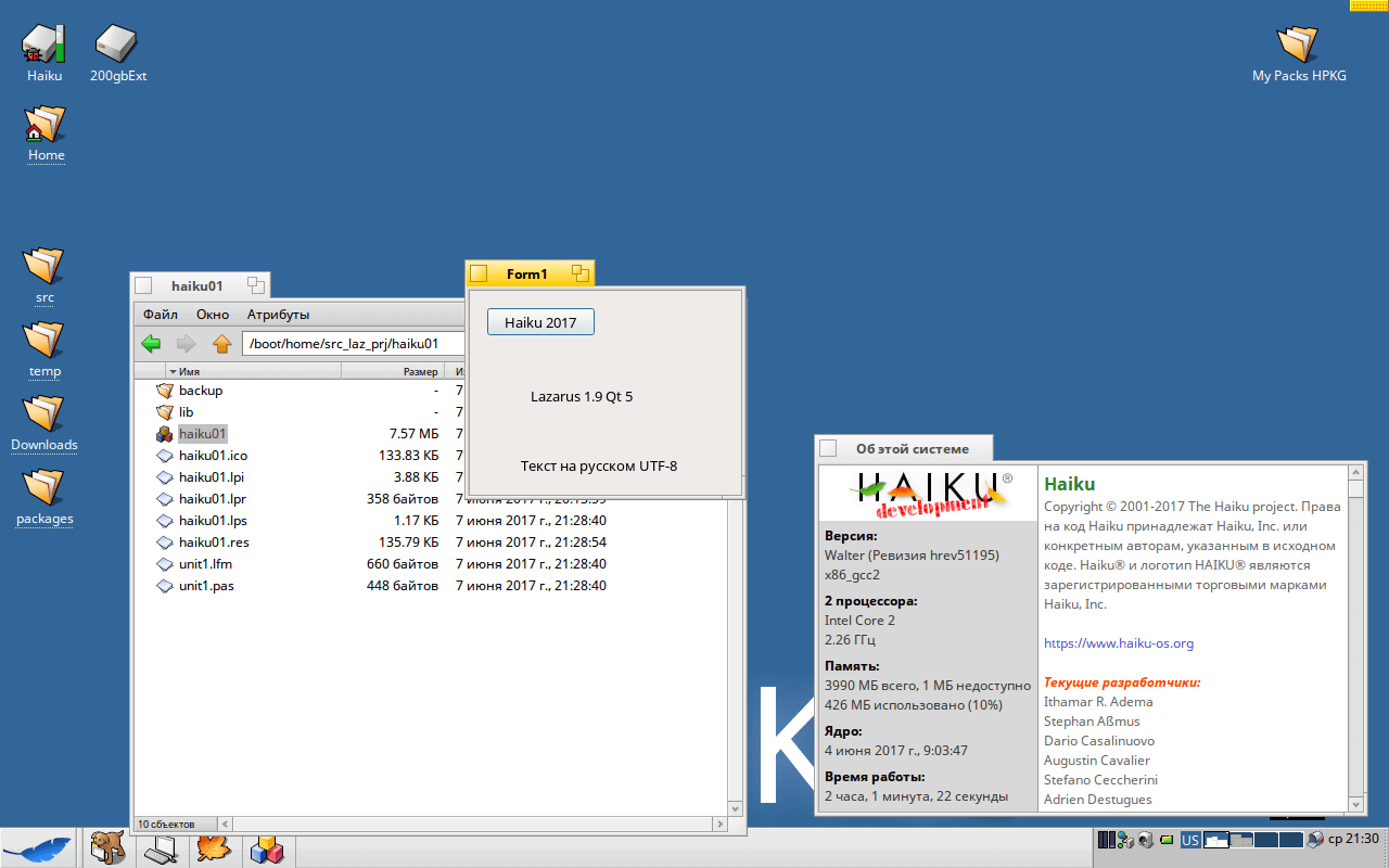 Web+, WebKit и Qt4. Qt4, русский вклад в Haiku. Web+, WebKit и Qt4. Qt4, русский вклад в Haiku. Фото.