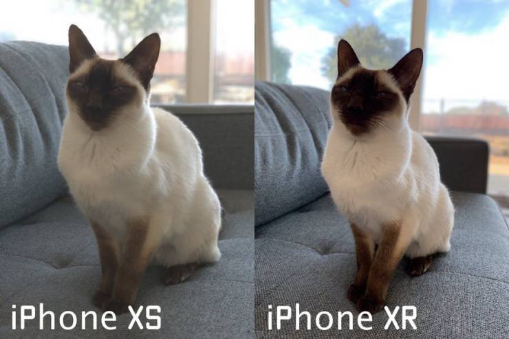 Это приложение из App Store снимет главное ограничение с камеры iPhone XR. Портретная съемка на камеру iPhone XR. Это приложение из App Store снимет главное ограничение с камеры iPhone XR. Портретная съемка на камеру iPhone XR. Фото.