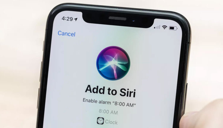 Как дела у «Команд» для Siri спустя месяц со дня релиза? Фото.