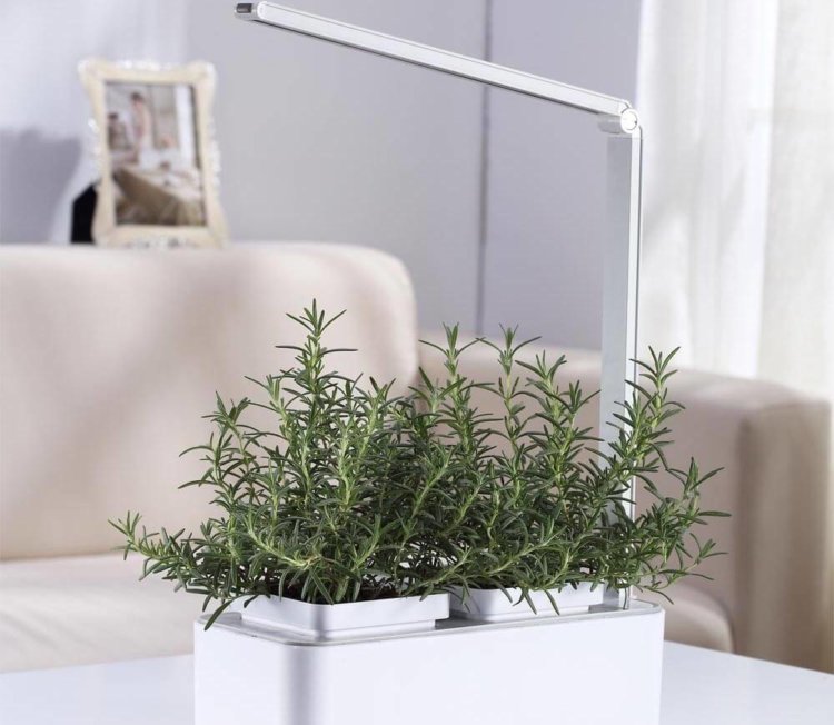 iGarden LED: умный сад, который могла выпустить Apple. iGarden LED: умный сад, который могла выпустить Apple. Фото.