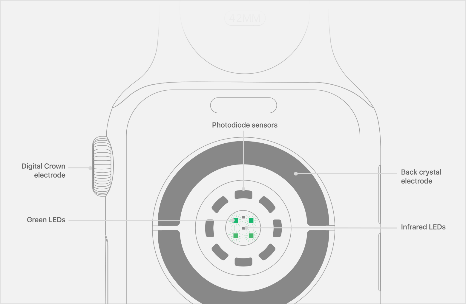 Apple повысила скорость и точность измерения пульса на Apple Watch 4. Apple повысила скорость и точность измерения пульса на Apple Watch 4. Фото.