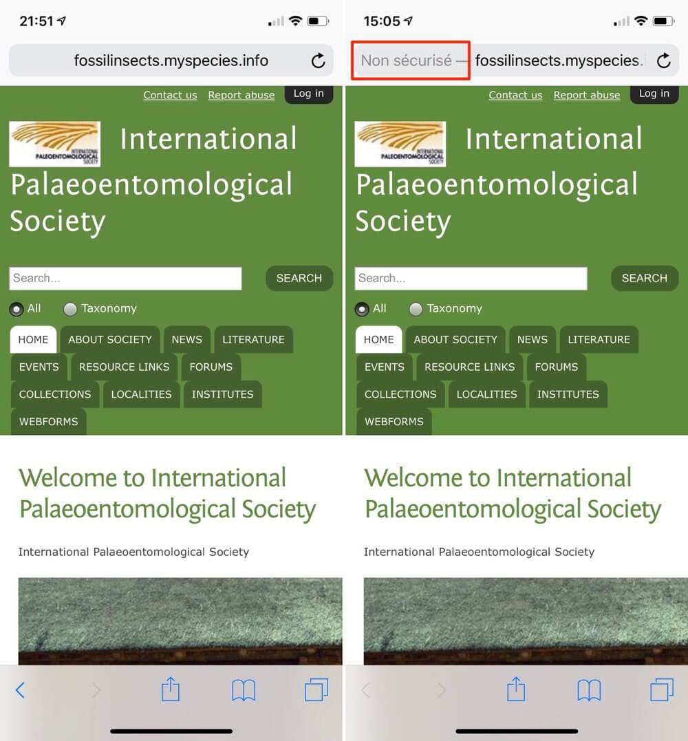 Браузер Safari начнет обозначать небезопасные сайты. Браузер Safari начнет обозначать небезопасные сайты. Фото.