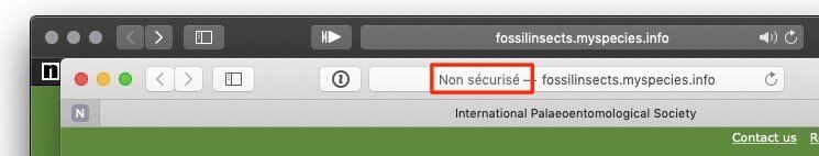 Браузер Safari начнет обозначать небезопасные сайты. Браузер Safari начнет обозначать небезопасные сайты. Фото.