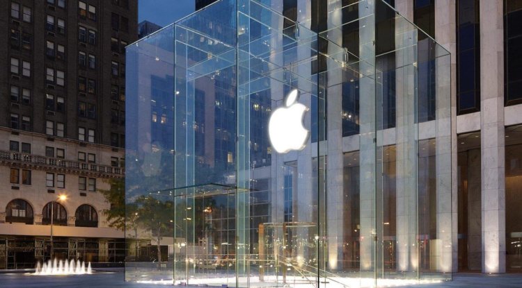 Сотрудники Нью-Йоркского Apple Store пожаловались на нашествие паразитов. Фото.