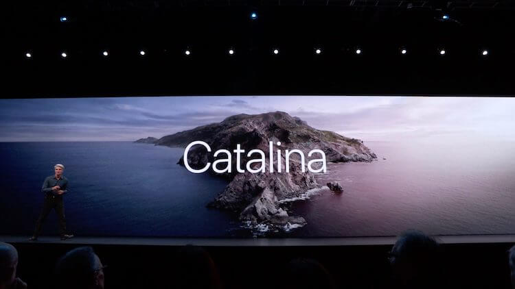 Вышли iOS 13 beta 1, macOS 10.15 beta 1 для всех и iOS 12.4 beta 5. Вышли iOS 13 beta 1, macOS 10.15 beta 1 для всех и iOS 12.4 beta 5. Фото.