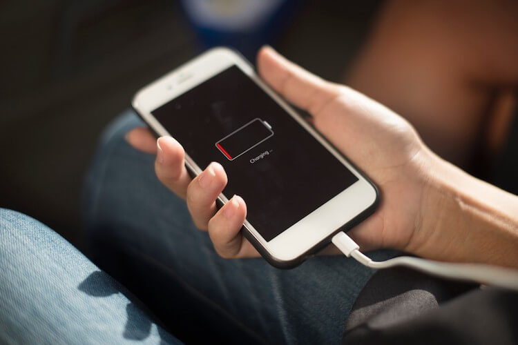 5 мифов об iPhone, в которые верят даже в 2019 году. iPhone нельзя заряжать адаптером от iPad. 5 мифов об iPhone, в которые верят даже в 2019 году. iPhone нельзя заряжать адаптером от iPad. Фото.