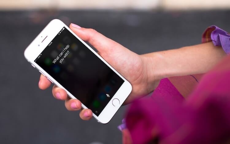 Apple признала, что слушает ваши разговоры с Siri и не только. Apple признала, что слушает ваши разговоры с Siri и не только. Фото.