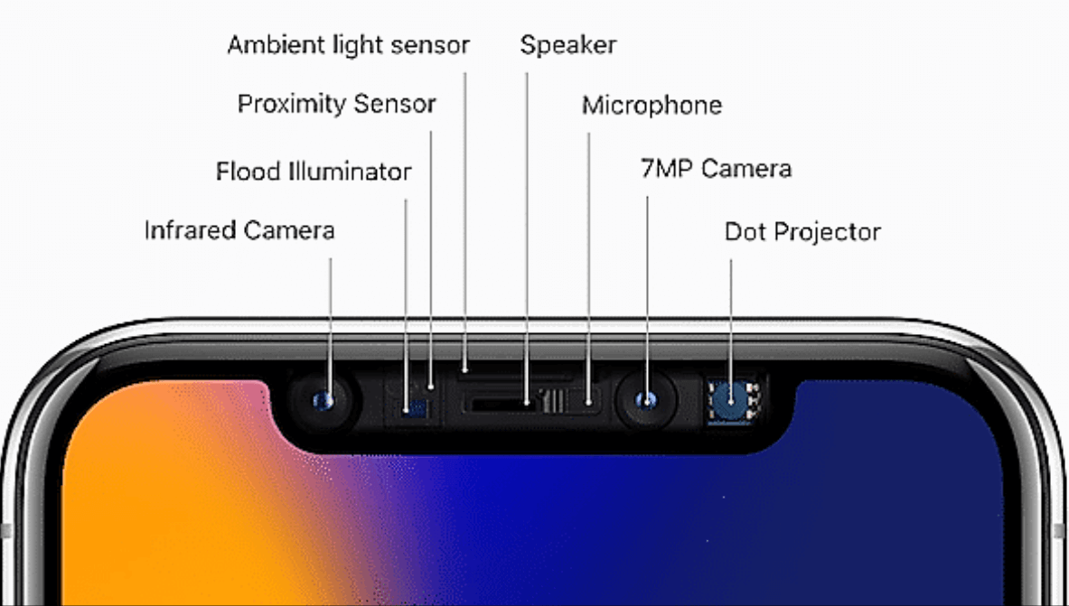 «Чёлка» iPhone не так проста, как может показаться. Фото.