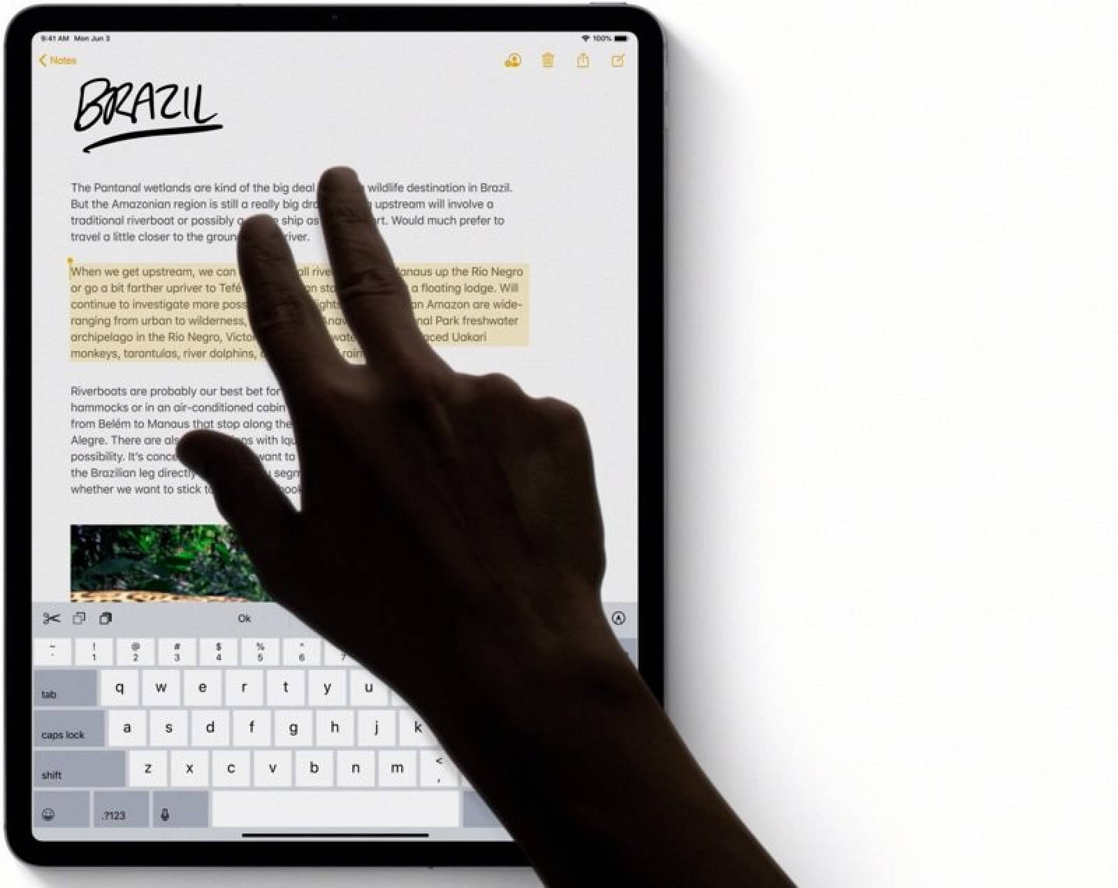 Жесты. Жесты взаимодействия с текстом в iPadOS. Жесты. Жесты взаимодействия с текстом в iPadOS. Фото.