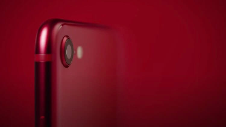 Чем портретный режим iPhone SE 2020 отличается от других iPhone. Фото.