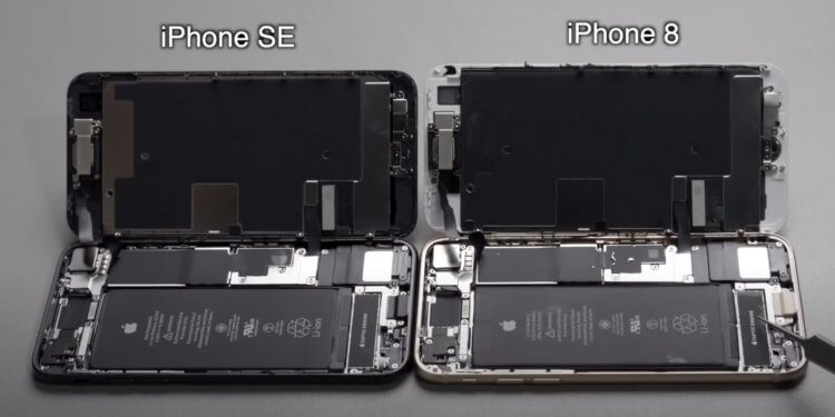 iPhone SE 2 разобрали на части: ему подходит экран от iPhone 8. Фото.