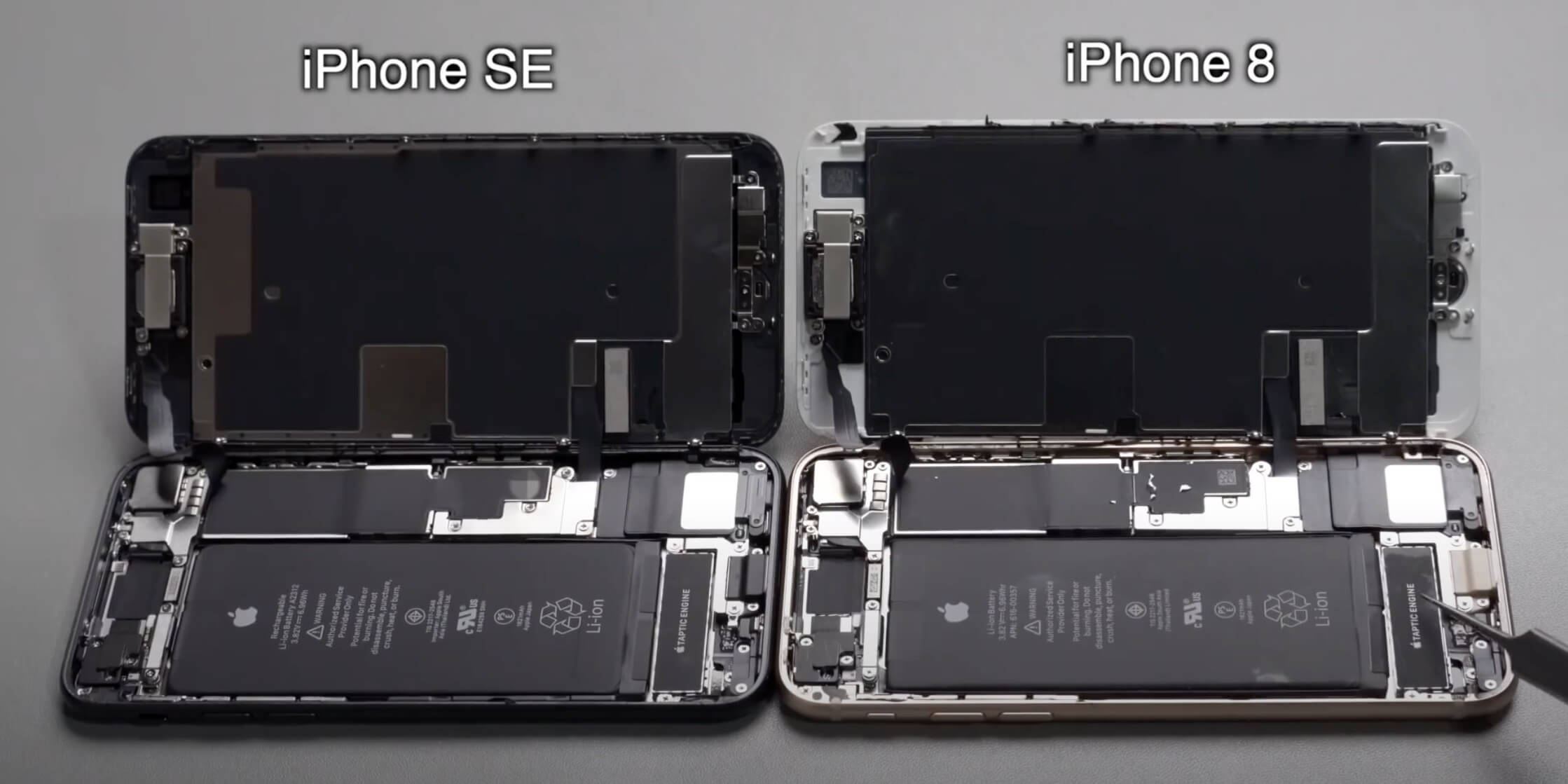 iPhone SE 2 разобрали на части: ему подходит экран от iPhone 8