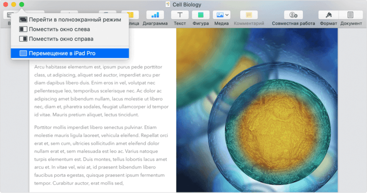 Можно ли ipad использовать как монитор imac