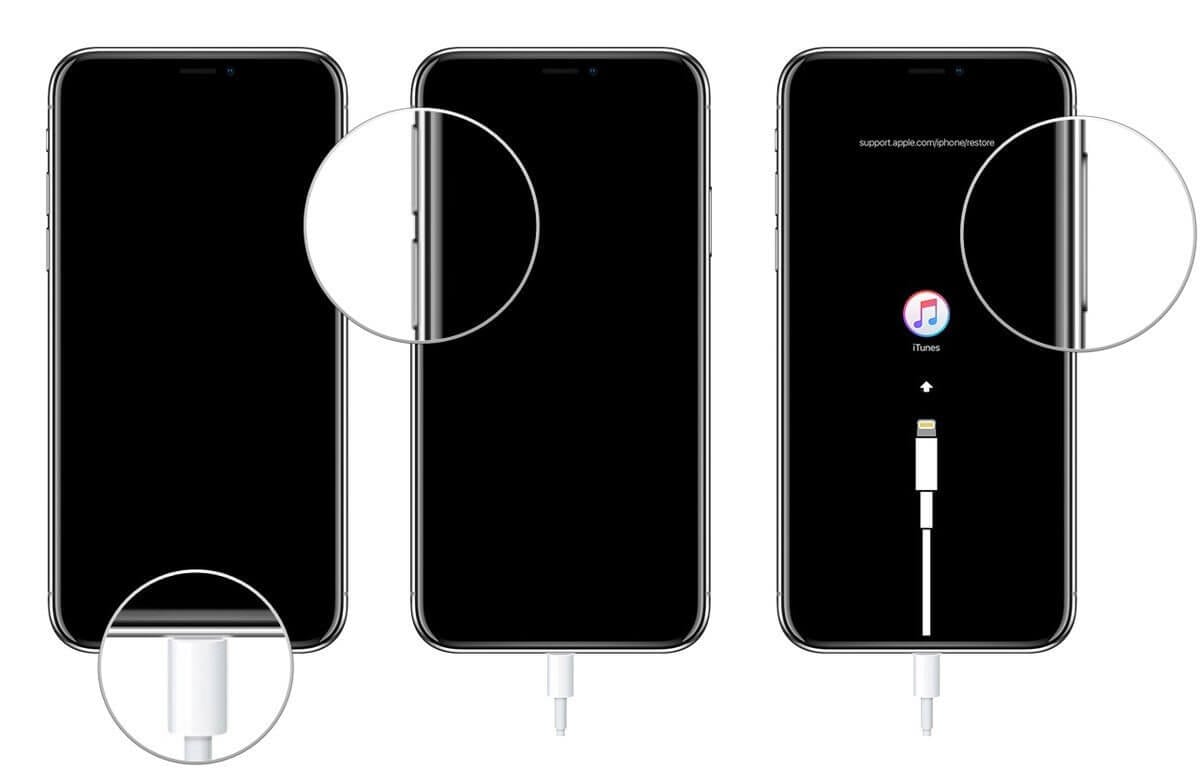 open iTunes on iPhone 11 same for other models