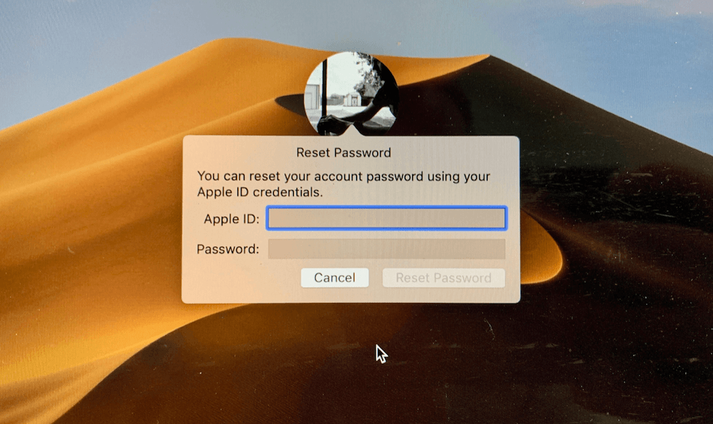 Как сбросить пароль с помощью Apple ID. Войдите под своим Apple ID для сброса пароля. Фото.