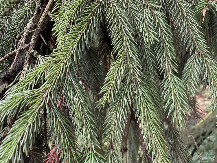 Реалистичность фотографий iPhone X и iPhone 12. iPhone 12. Реалистичность фотографий iPhone X и iPhone 12. iPhone 12. Фото.
