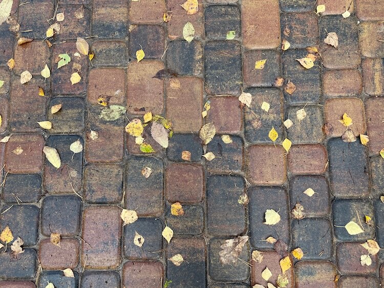 Реалистичность фотографий iPhone X и iPhone 12. iPhone 12. Реалистичность фотографий iPhone X и iPhone 12. iPhone 12. Фото.