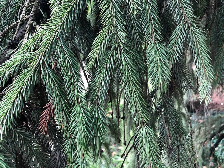 Реалистичность фотографий iPhone X и iPhone 12. iPhone X. Реалистичность фотографий iPhone X и iPhone 12. iPhone X. Фото.