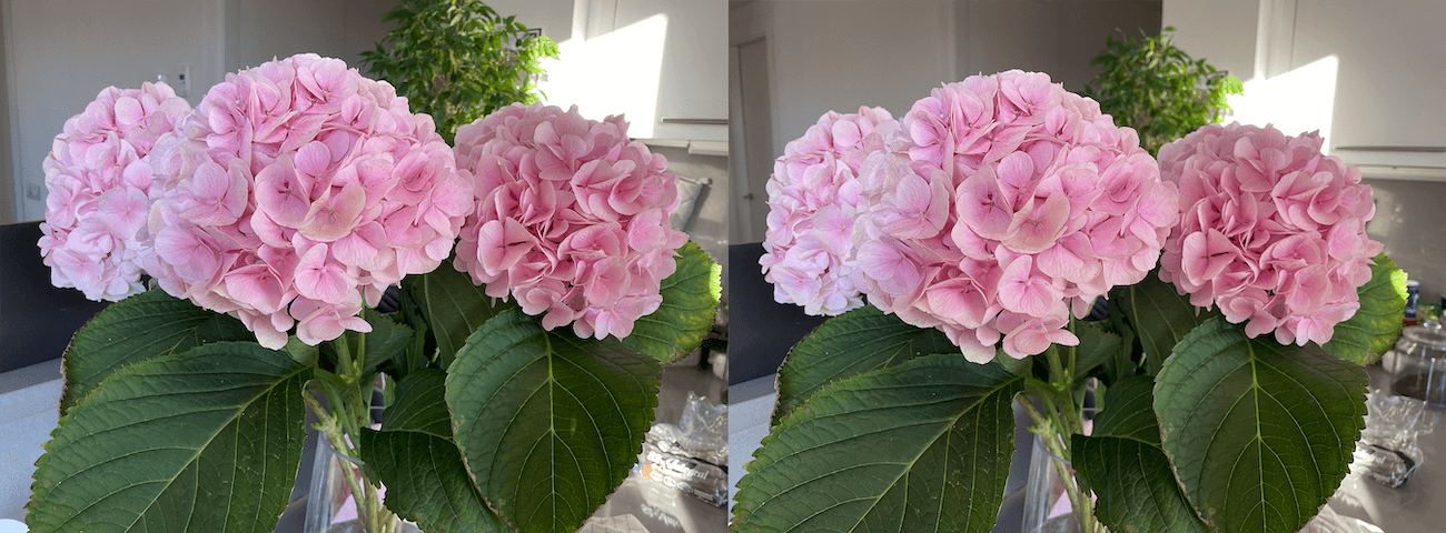 Сравнение фотографий iPhone SE 2 и iPhone 12 Pro. Слева — iPhone SE 2 (оригинал), справа — iPhone 12 Pro (оригинал). Сравнение фотографий iPhone SE 2 и iPhone 12 Pro. Слева — iPhone SE 2 (оригинал), справа — iPhone 12 Pro (оригинал). Фото.