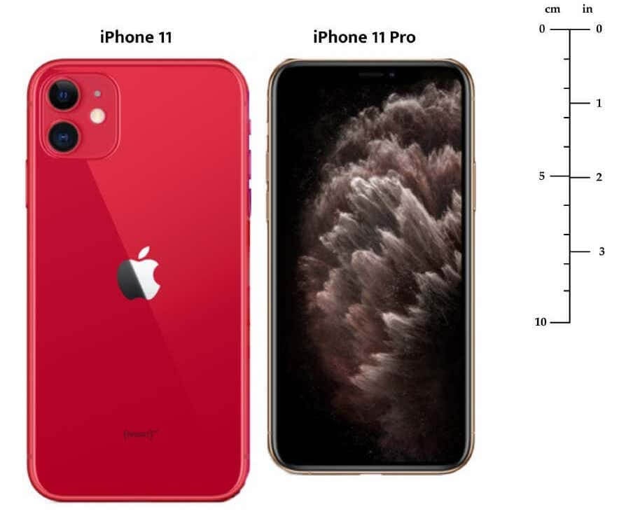 Айфон 12 и 12 мини сравнение размеров фото