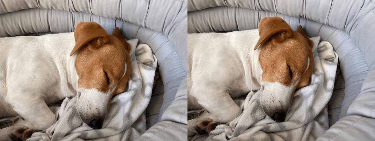 Сравнение фотографий iPhone SE 2 и iPhone 12 Pro. Слева — iPhone SE 2 (оригинал), справа — iPhone 12 Pro (оригинал). Вам какая больше нравится? Сравнение фотографий iPhone SE 2 и iPhone 12 Pro. Слева — iPhone SE 2 (оригинал), справа — iPhone 12 Pro (оригинал). Вам какая больше нравится? Фото.