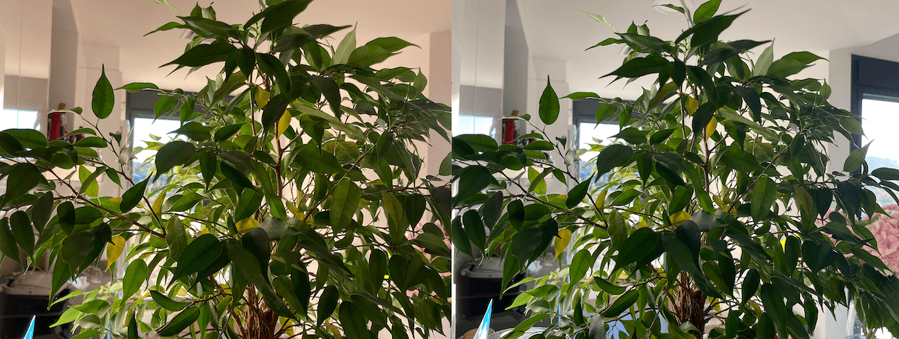 Сравнение фотографий iPhone SE 2 и iPhone 12 Pro. Слева — iPhone SE 2 (оригинал), справа — iPhone 12 Pro (оригинал). Вот здесь мне кажется SE лучше сработал. Сравнение фотографий iPhone SE 2 и iPhone 12 Pro. Слева — iPhone SE 2 (оригинал), справа — iPhone 12 Pro (оригинал). Вот здесь мне кажется SE лучше сработал. Фото.