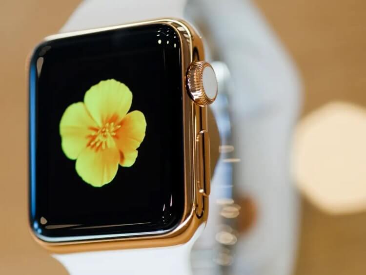 Apple чуть не закрыла проект Apple Watch в 2015 году. Что произошло? Фото.
