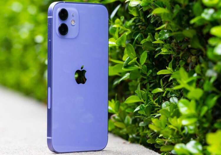 Какой iPhone самый популярный и почему? Фото.