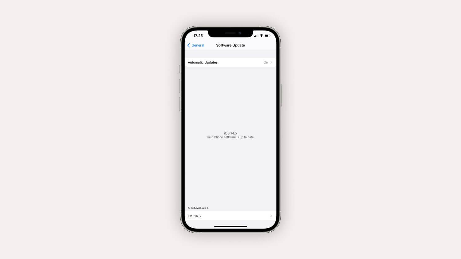 Новые функции iOS 14.6. Специальный механизм позволяет либо выйти из программы бета-тестирования, либо остаться в ней и получать тестовые сборки дальше. Фото.