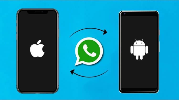 Как перенести WhatsApp с Android на iPhone. Как перенести WhatsApp с Android на iPhone. Фото.