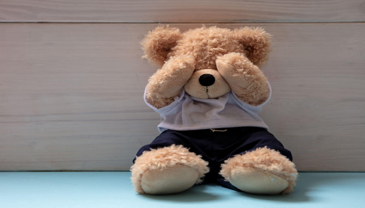 Почему я против, чтобы Apple проверяла мои фотографии. Фото.