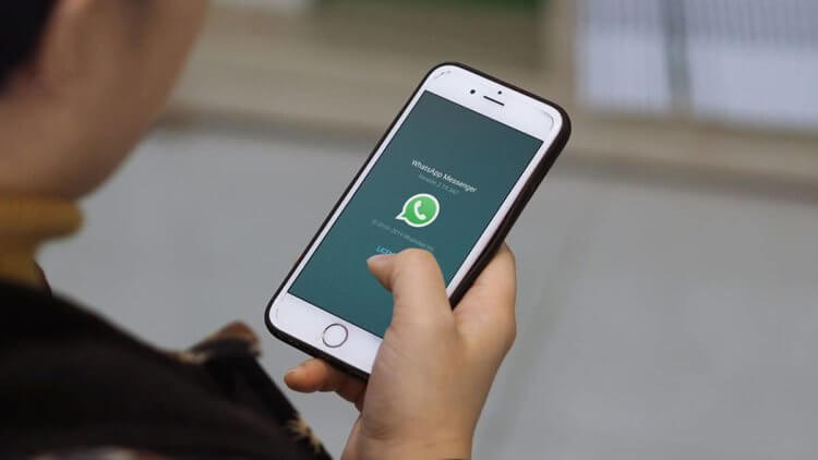 WhatsApp в России оштрафовали за отказ от переноса данных. Дальше — блокировка?