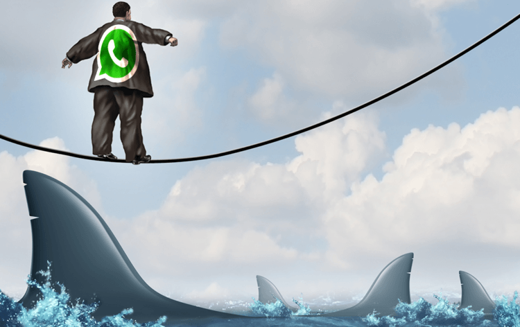 Заблокируют ли Ватсап в России. WhatsApp предстоит договориться с российскими властями, но и это возможно. Заблокируют ли Ватсап в России. WhatsApp предстоит договориться с российскими властями, но и это возможно. Фото.