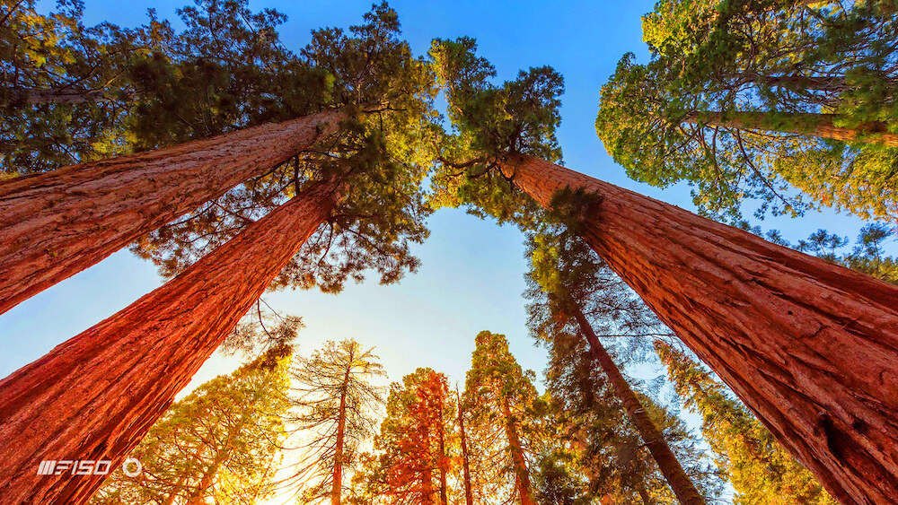 iiiF150 R2022 снимает довольно хорошо как для защищённого аппарата. Фото.