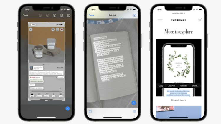 Сафари сможет распознавать текст на картинках сам. Фото.